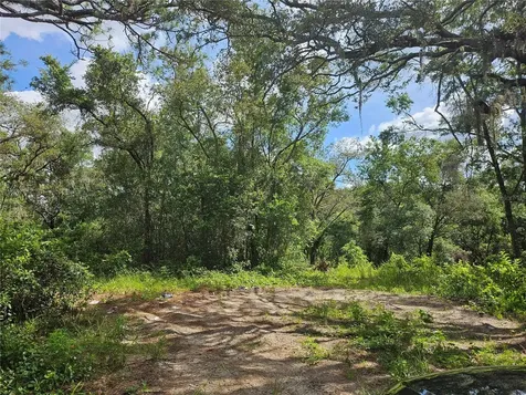 Us Highway 41 Spring Hill FL 34610