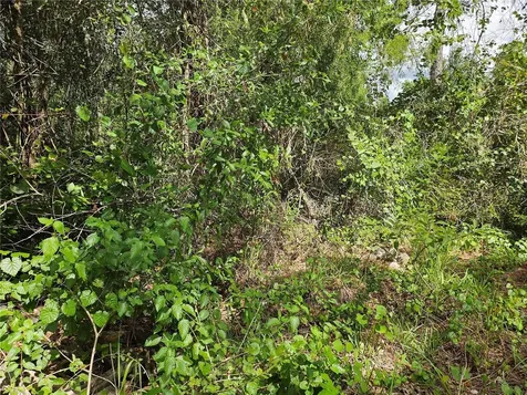 Us Highway 41 Spring Hill FL 34610