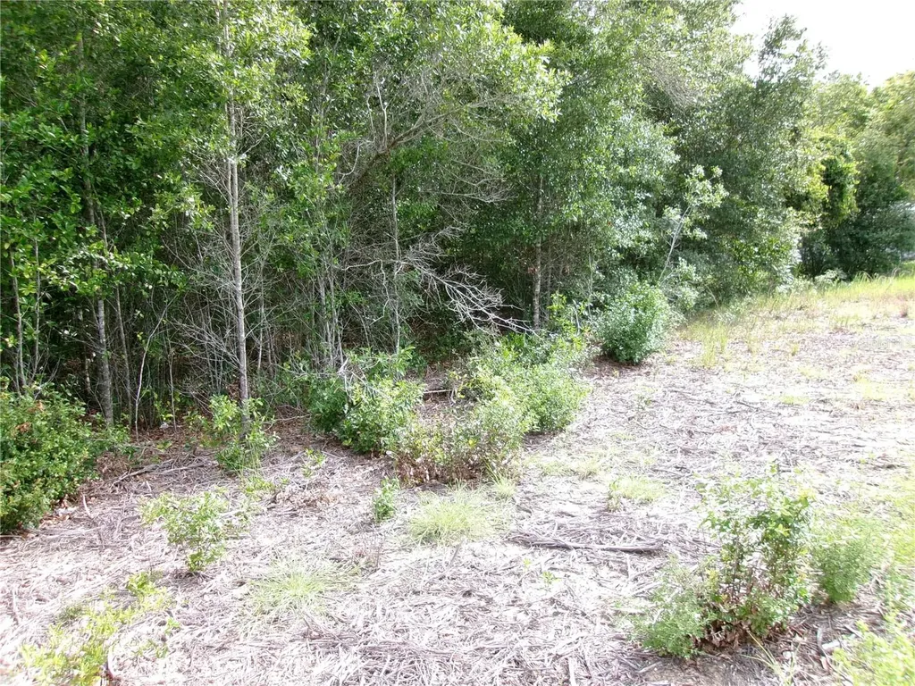 Lot 13 SW Rainbow Lakes Boulevard Dunnellon FL 34431
