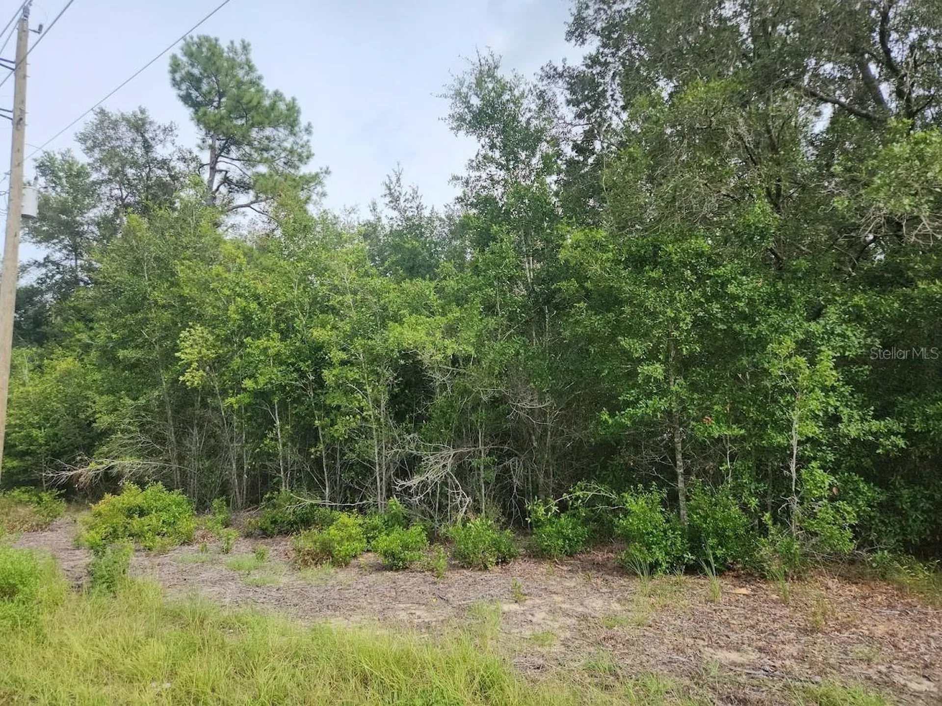 Lot 13 SW Rainbow Lakes Boulevard Dunnellon FL 34431