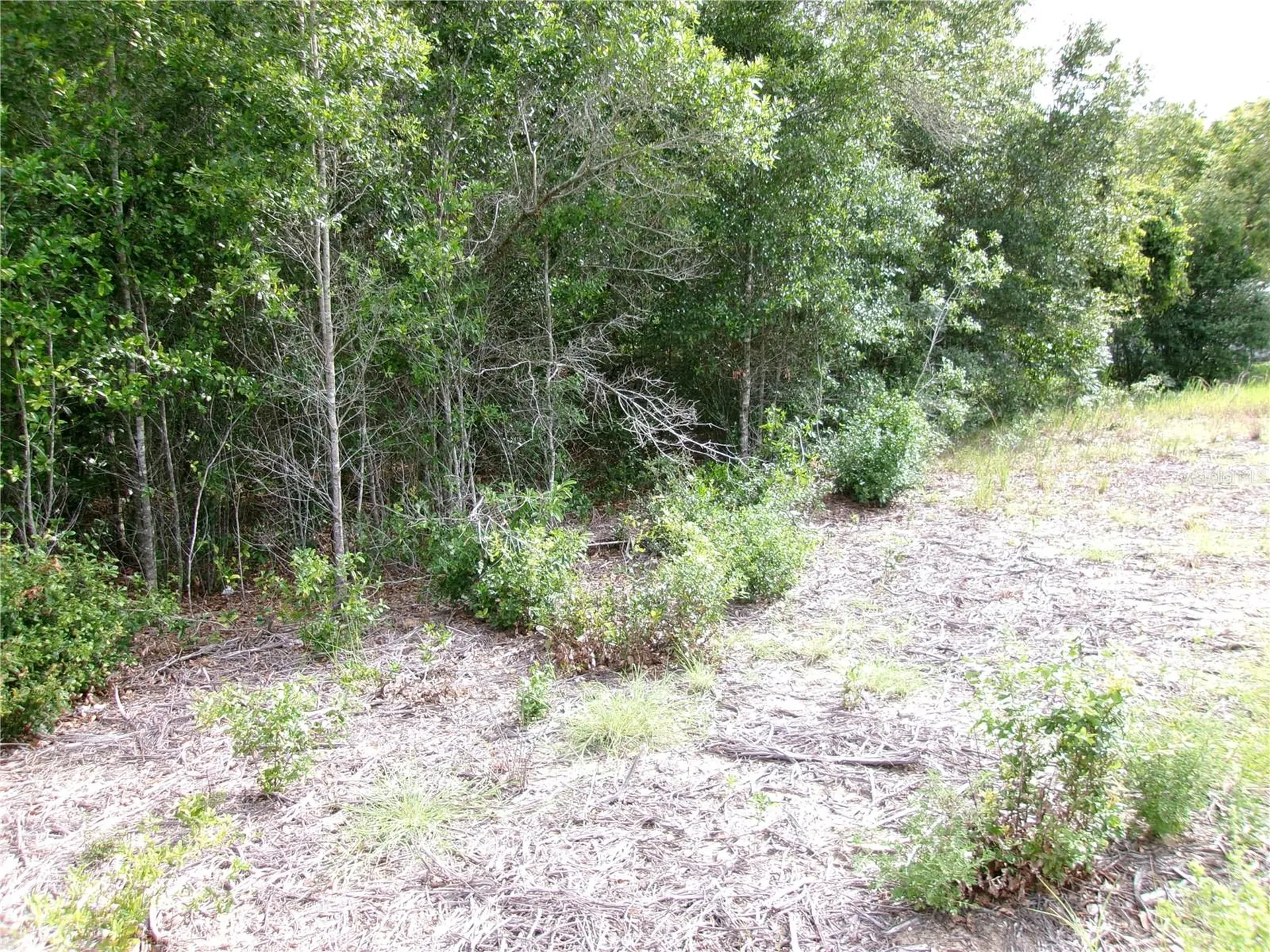 Lot 13 SW Rainbow Lakes Boulevard Dunnellon FL 34431