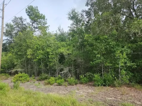 Lot 13 SW Rainbow Lakes Boulevard Dunnellon FL 34431