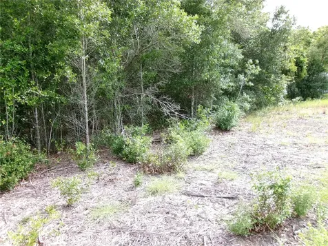 Lot 13 SW Rainbow Lakes Boulevard Dunnellon FL 34431