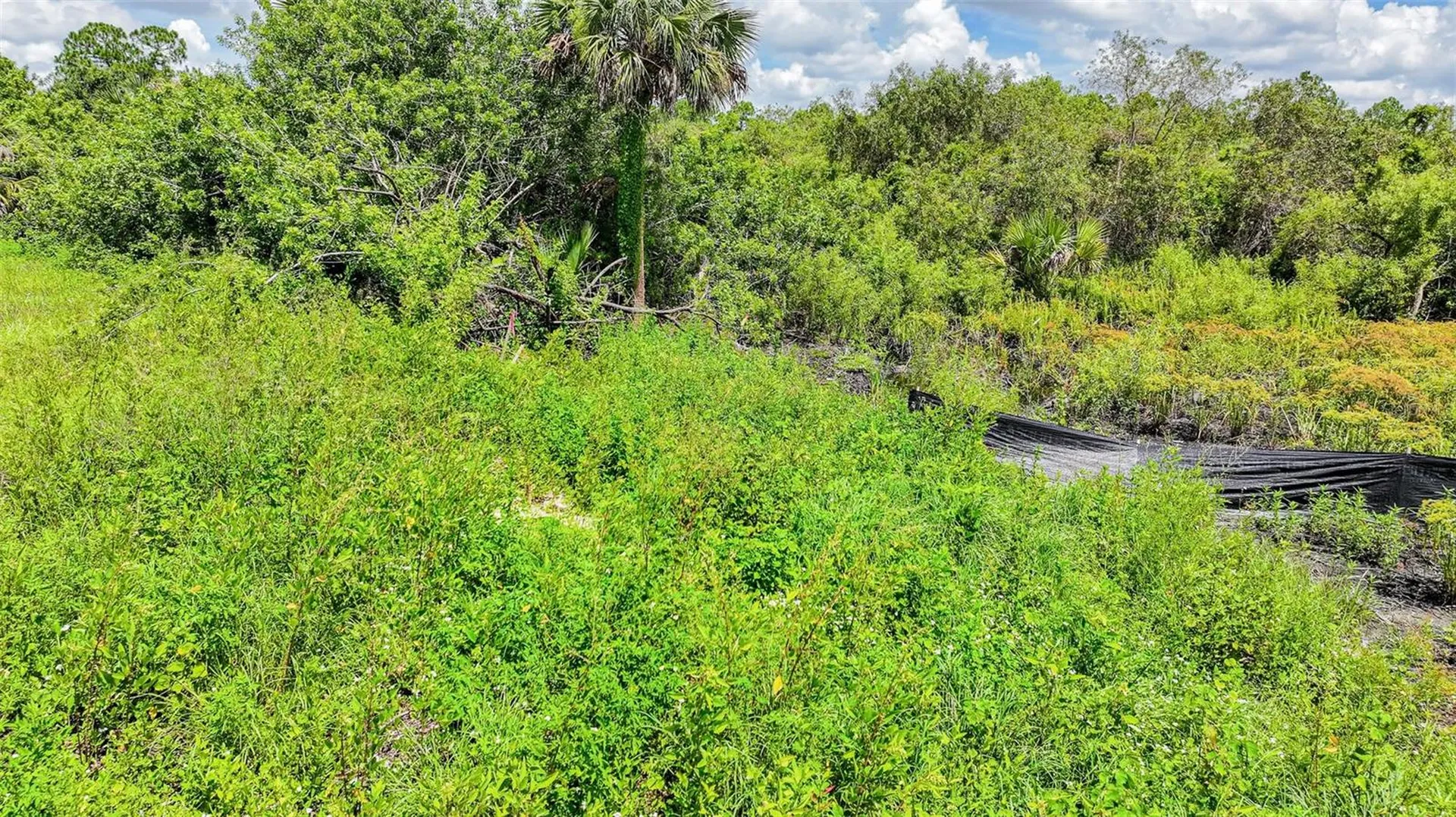 1245 Cavalier Circle Lehigh Acres FL 33974