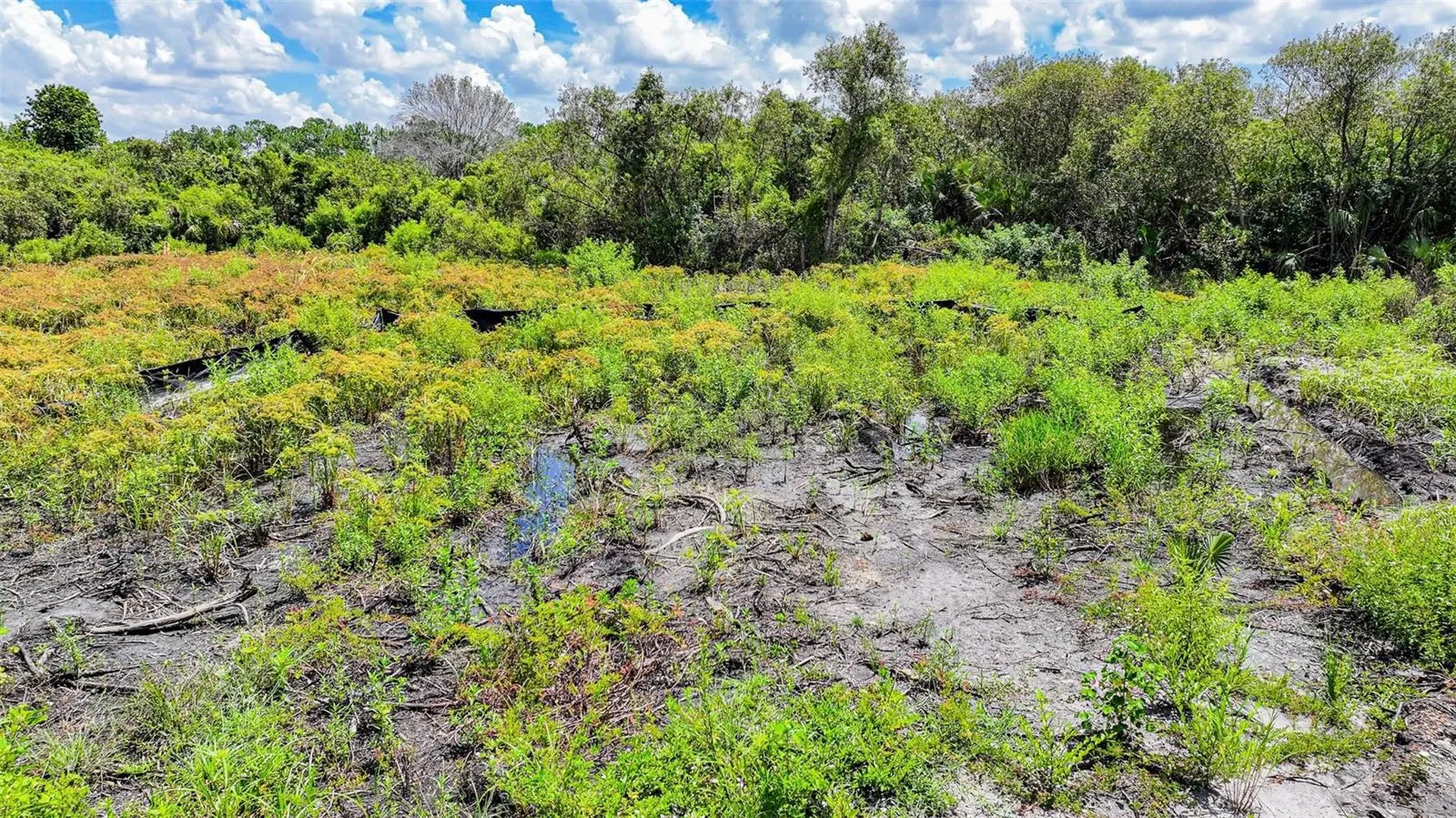 1245 Cavalier Circle Lehigh Acres FL 33974