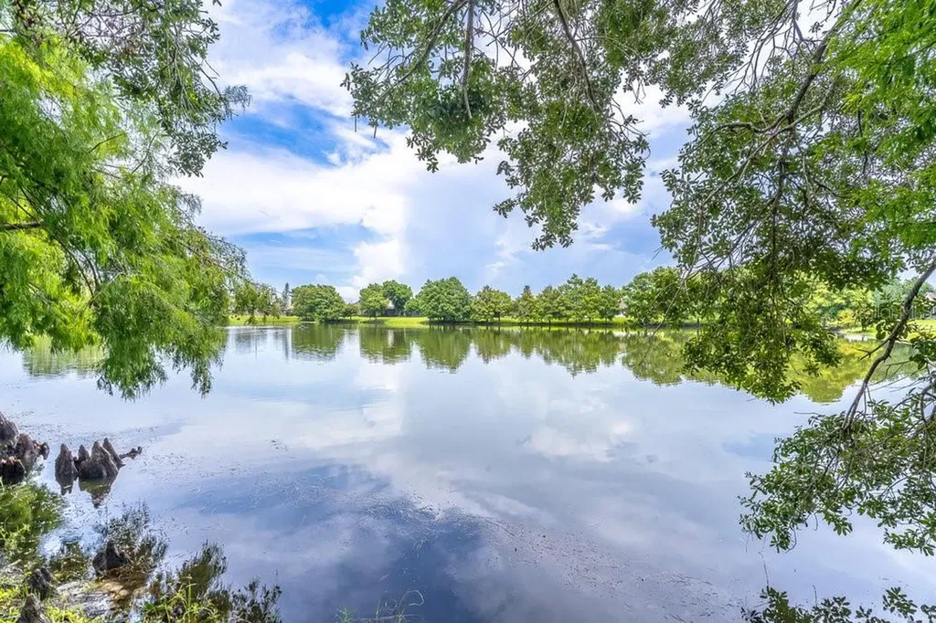 2213 Oldfield Drive Orlando FL 32837