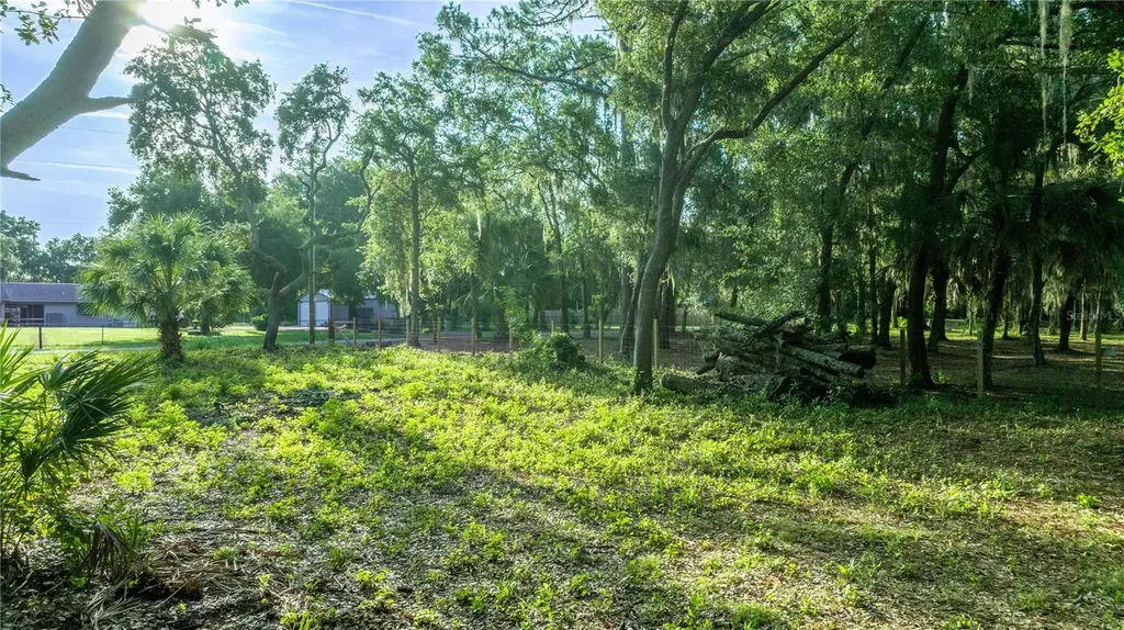 Tbd NE 303rd Court Salt Springs FL 32134