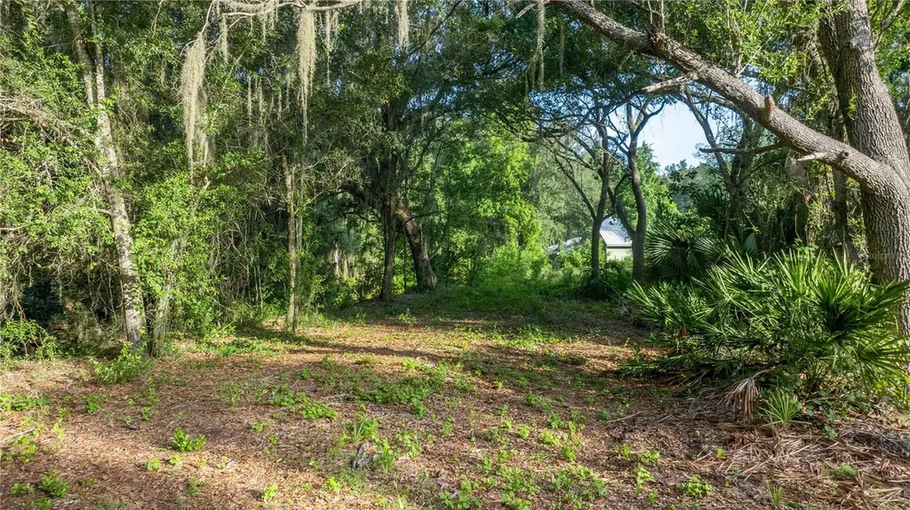 Tbd NE 303rd Court Salt Springs FL 32134