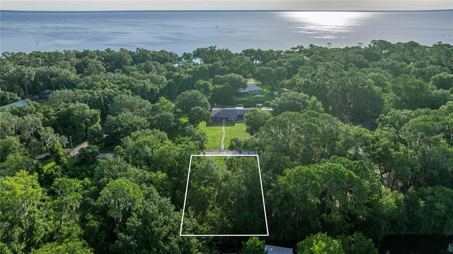 Tbd NE 303rd Court Salt Springs FL 32134