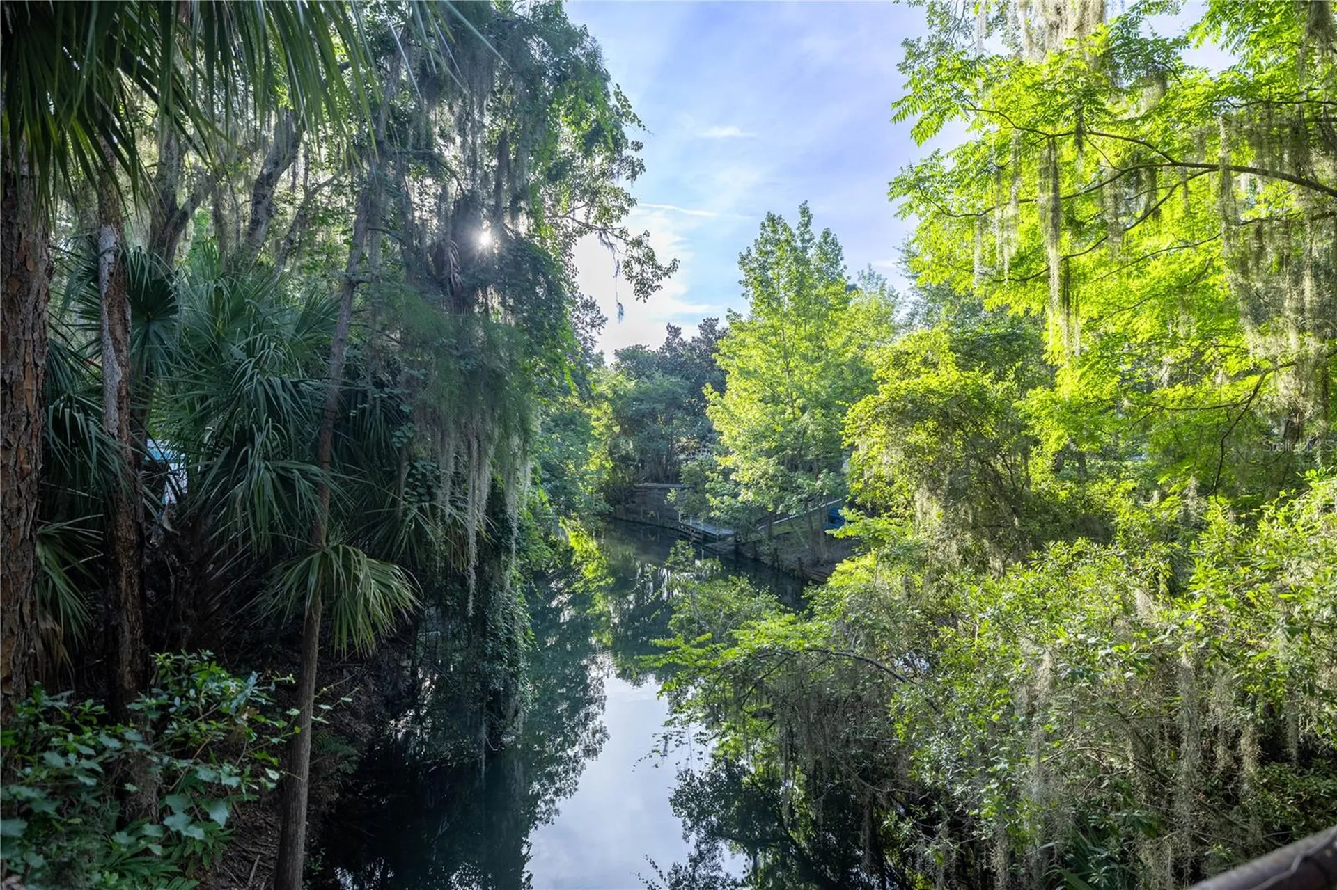 Tbd NE 303rd Court Salt Springs FL 32134