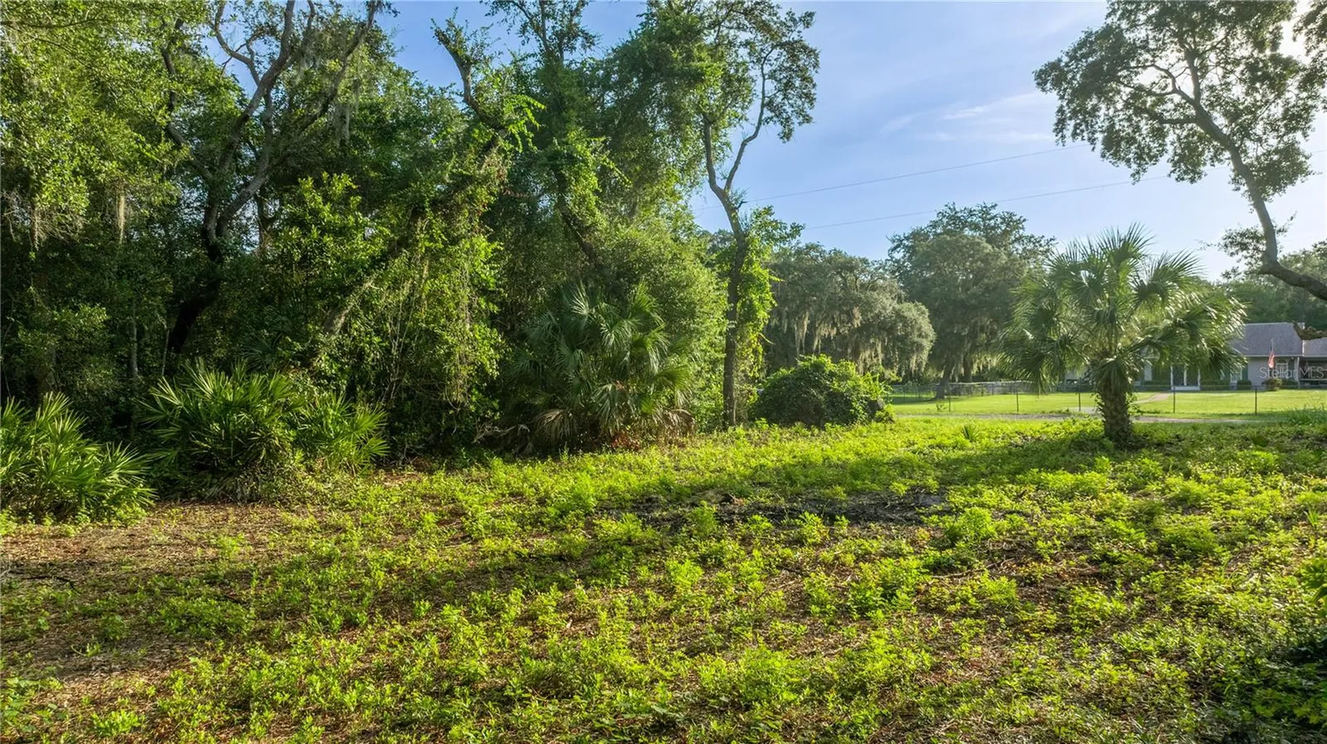 Tbd NE 303rd Court Salt Springs FL 32134