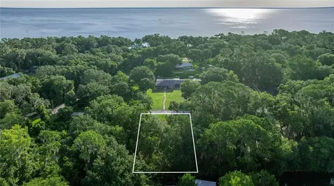 Tbd NE 303rd Court Salt Springs FL 32134