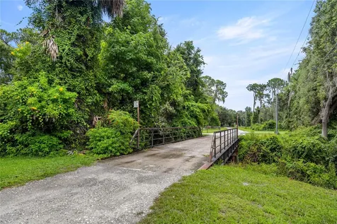 Tbd NE 303rd Court Salt Springs FL 32134