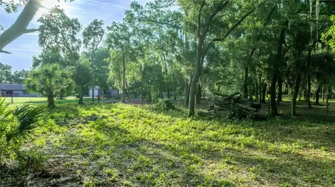 Tbd NE 303rd Court Salt Springs FL 32134
