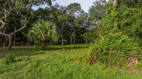 Tbd NE 303rd Court Salt Springs FL 32134
