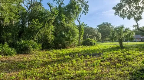 Tbd NE 303rd Court Salt Springs FL 32134
