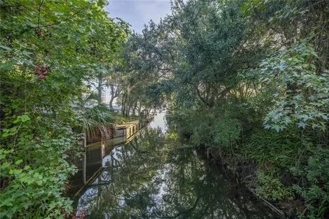 Tbd NE 303rd Court Salt Springs FL 32134