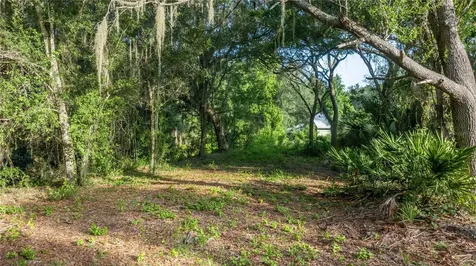 Tbd NE 303rd Court Salt Springs FL 32134