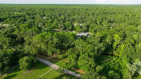 Tbd NE 303rd Court Salt Springs FL 32134