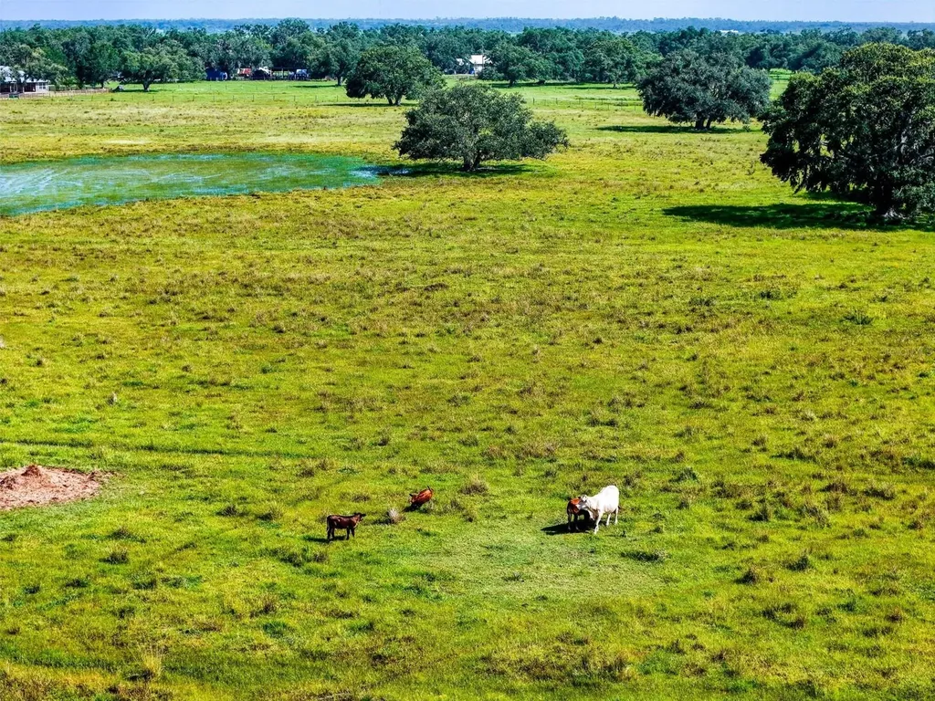 12950 River Road Myakka City FL 34251