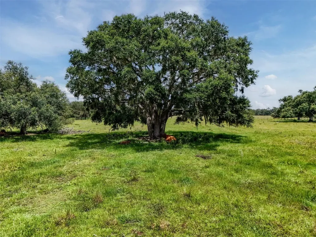 12950 River Road Myakka City FL 34251