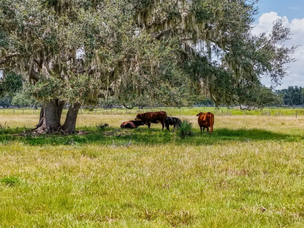 12950 River Road Myakka City FL 34251