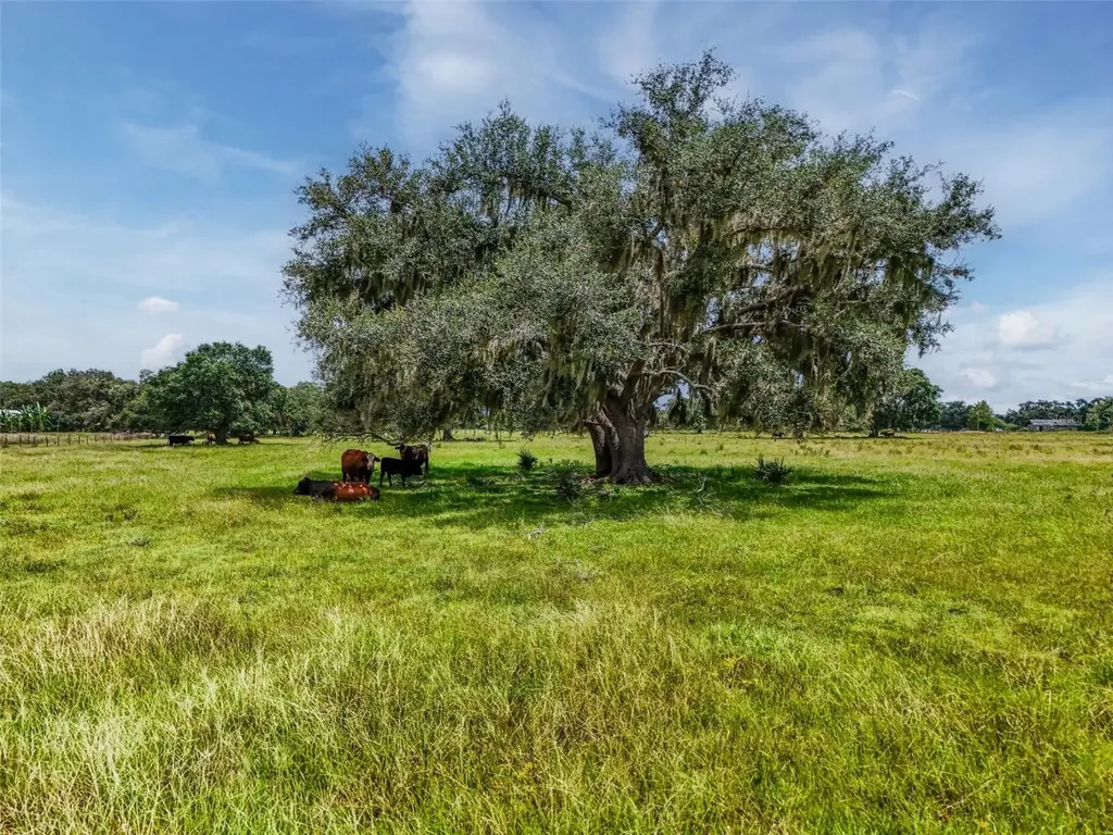 12950 River Road Myakka City FL 34251