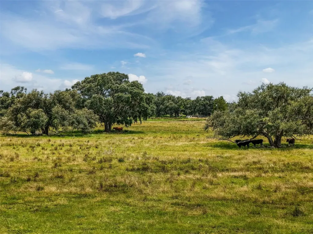 12950 River Road Myakka City FL 34251