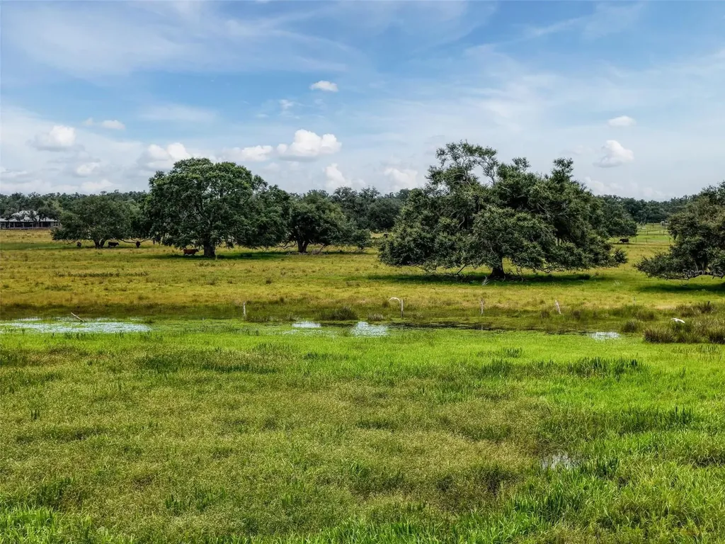 12950 River Road Myakka City FL 34251