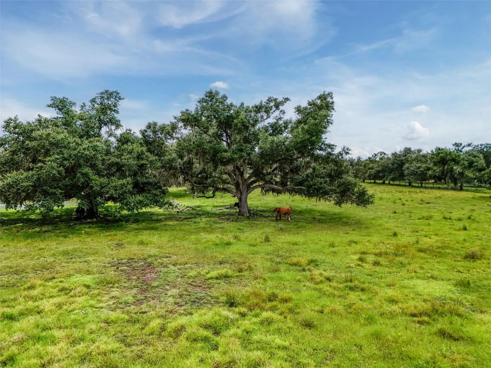 12950 River Road Myakka City FL 34251