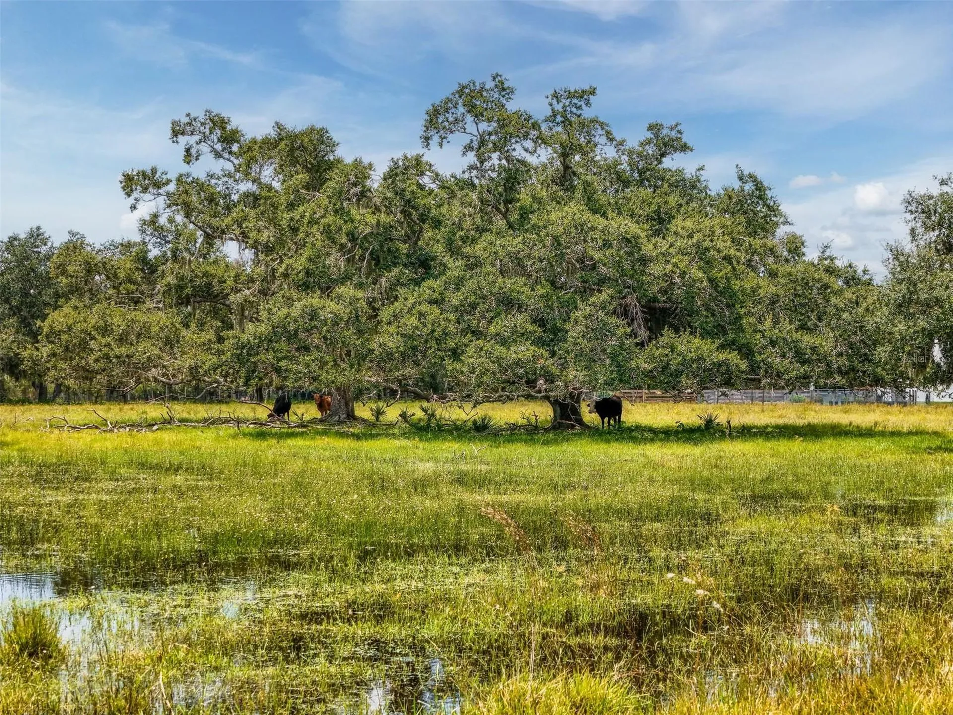 12950 River Road Myakka City FL 34251