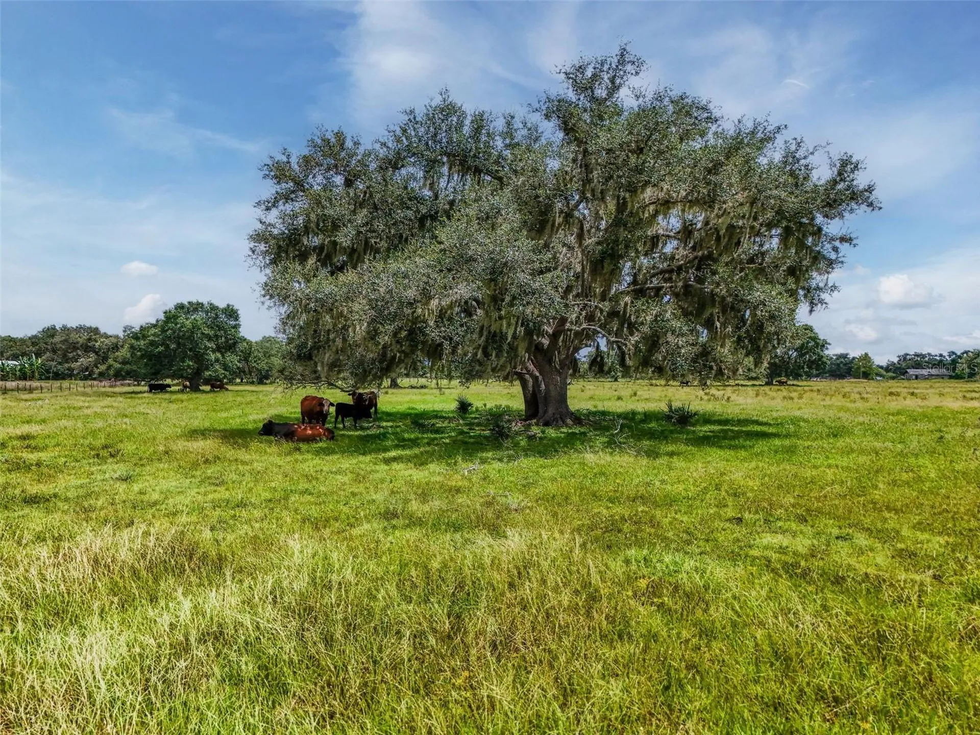 12950 River Road Myakka City FL 34251