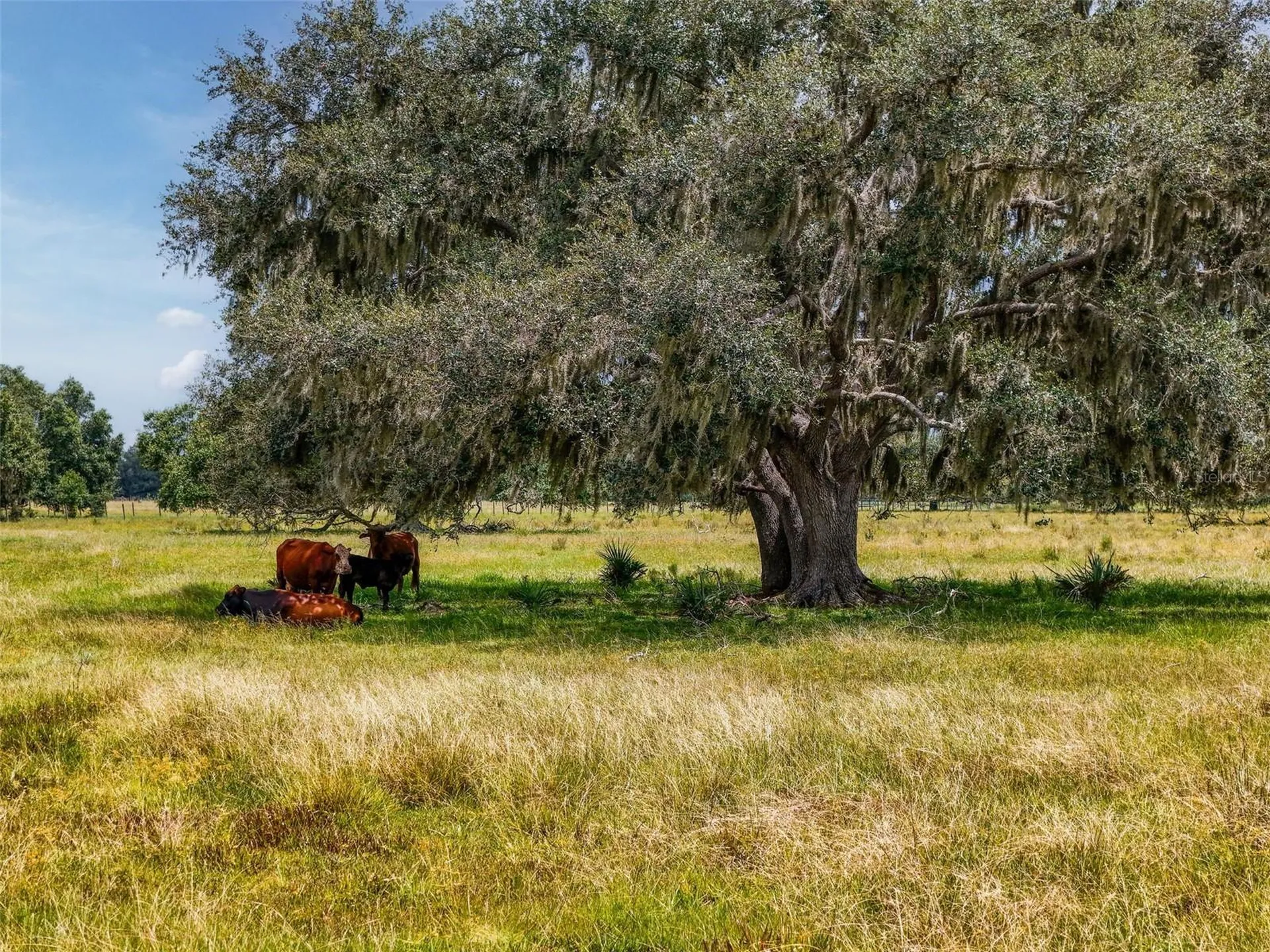 12950 River Road Myakka City FL 34251