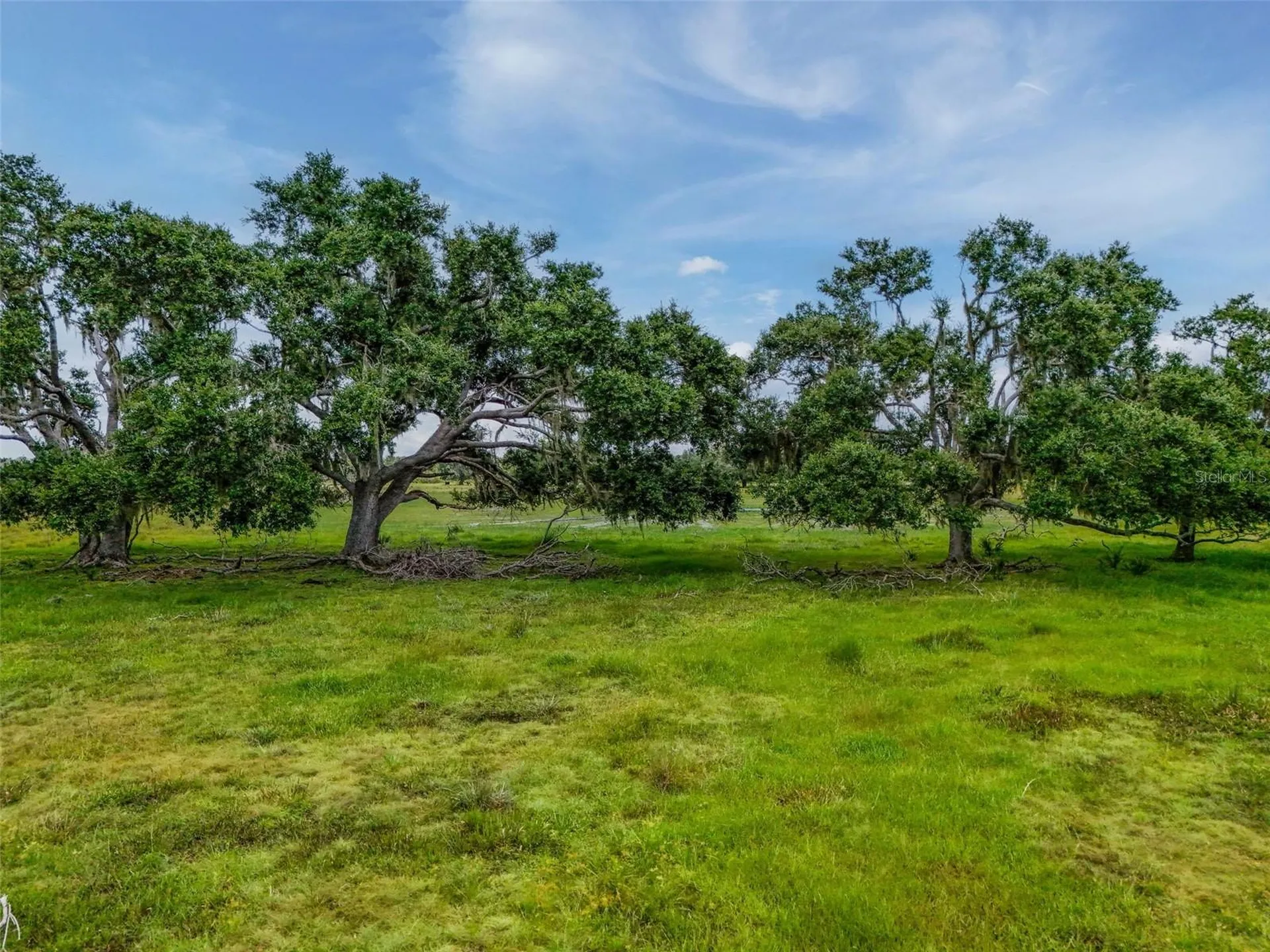 12950 River Road Myakka City FL 34251