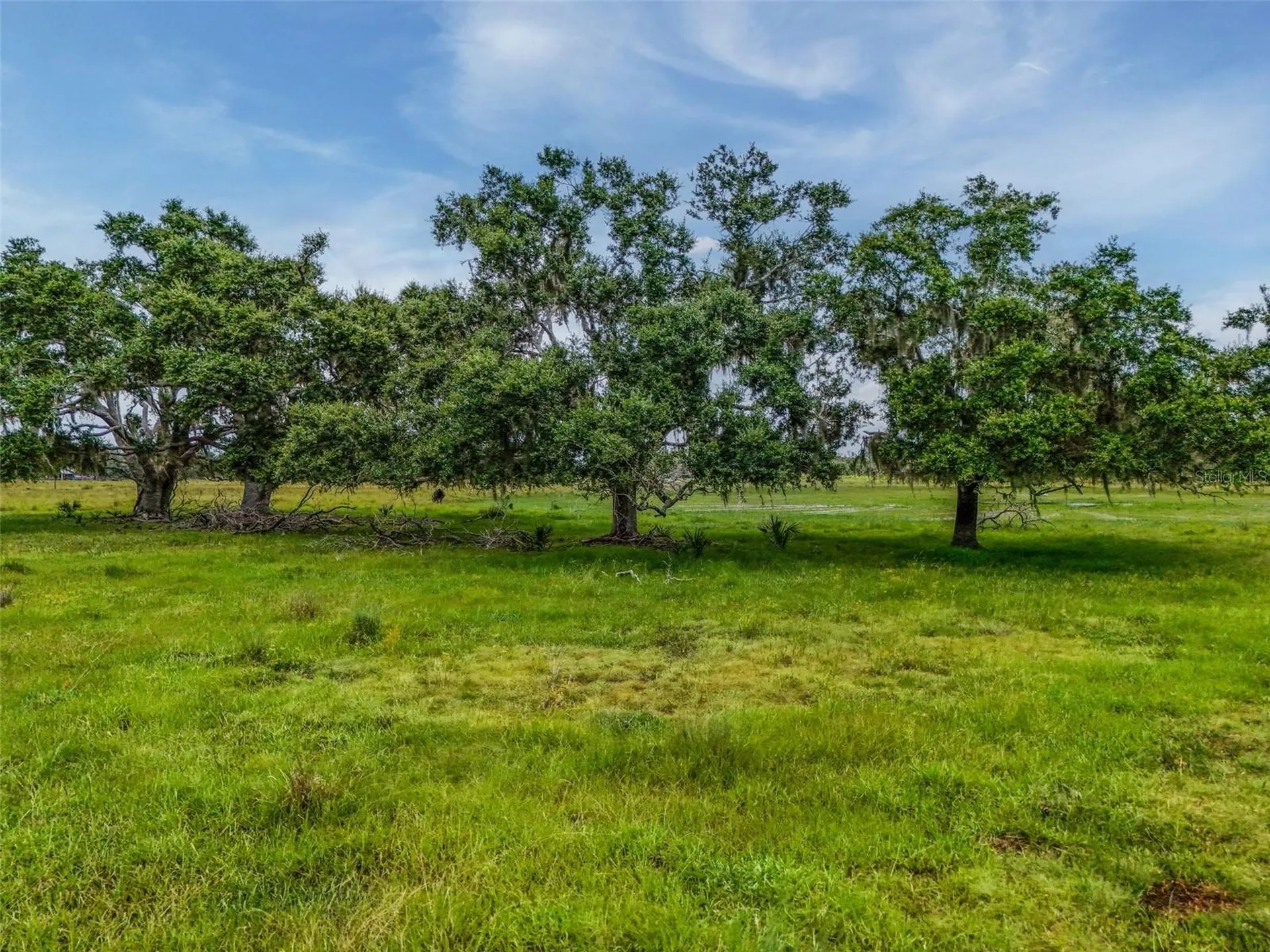 12950 River Road Myakka City FL 34251