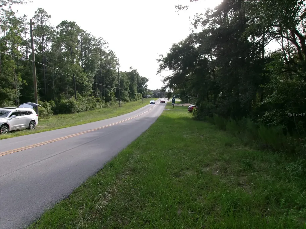 Lot 20 SW Rainbow Lakes Boulevard Dunnellon FL 34431