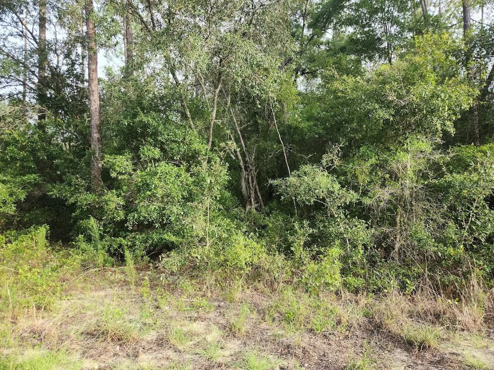 Lot 20 SW Rainbow Lakes Boulevard Dunnellon FL 34431