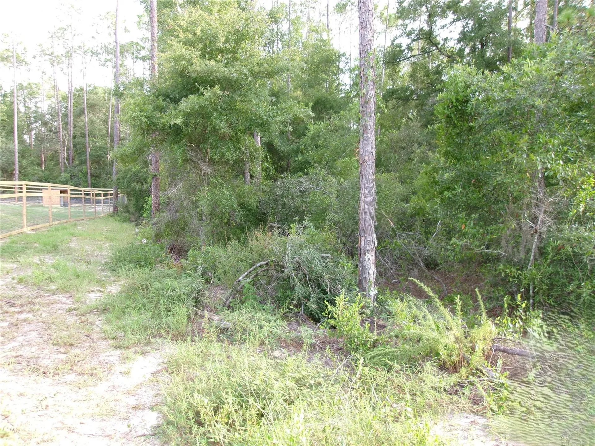 Lot 20 SW Rainbow Lakes Boulevard Dunnellon FL 34431