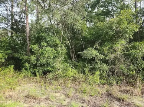 Lot 20 SW Rainbow Lakes Boulevard Dunnellon FL 34431