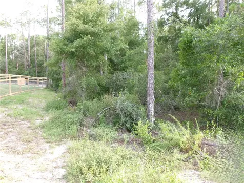 Lot 20 SW Rainbow Lakes Boulevard Dunnellon FL 34431