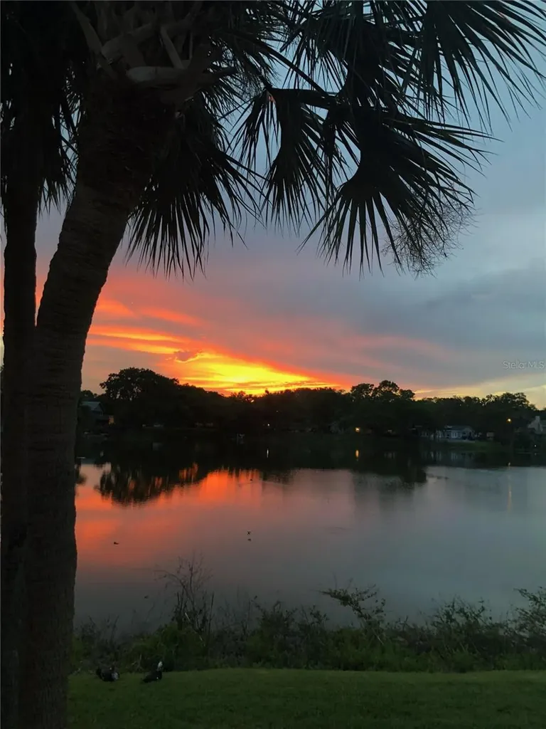 1920 E Edgewood Drive Lakeland FL 33803