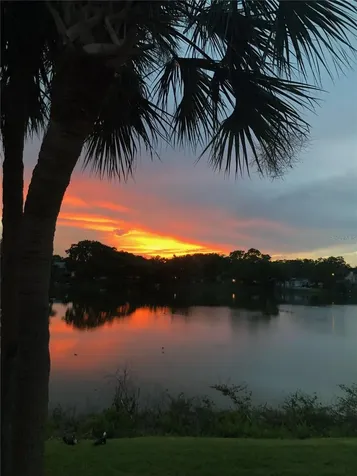 1920 E Edgewood Drive Lakeland FL 33803