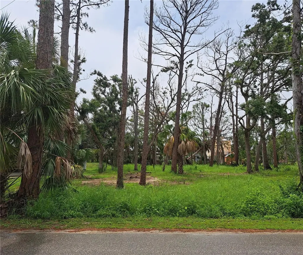 401 W 1st Street NW Steinhatchee FL 32359