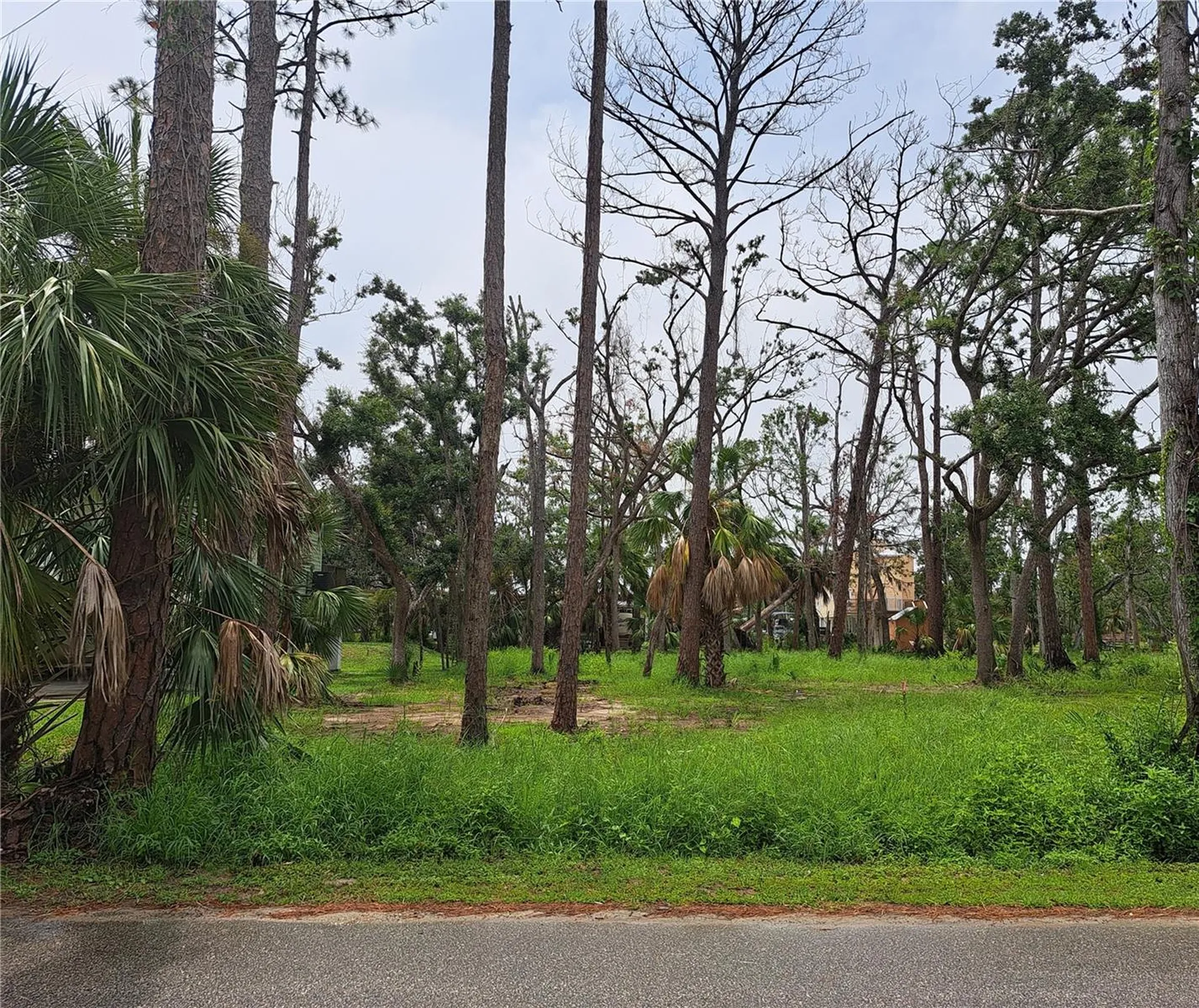 401 W 1st Street NW Steinhatchee FL 32359