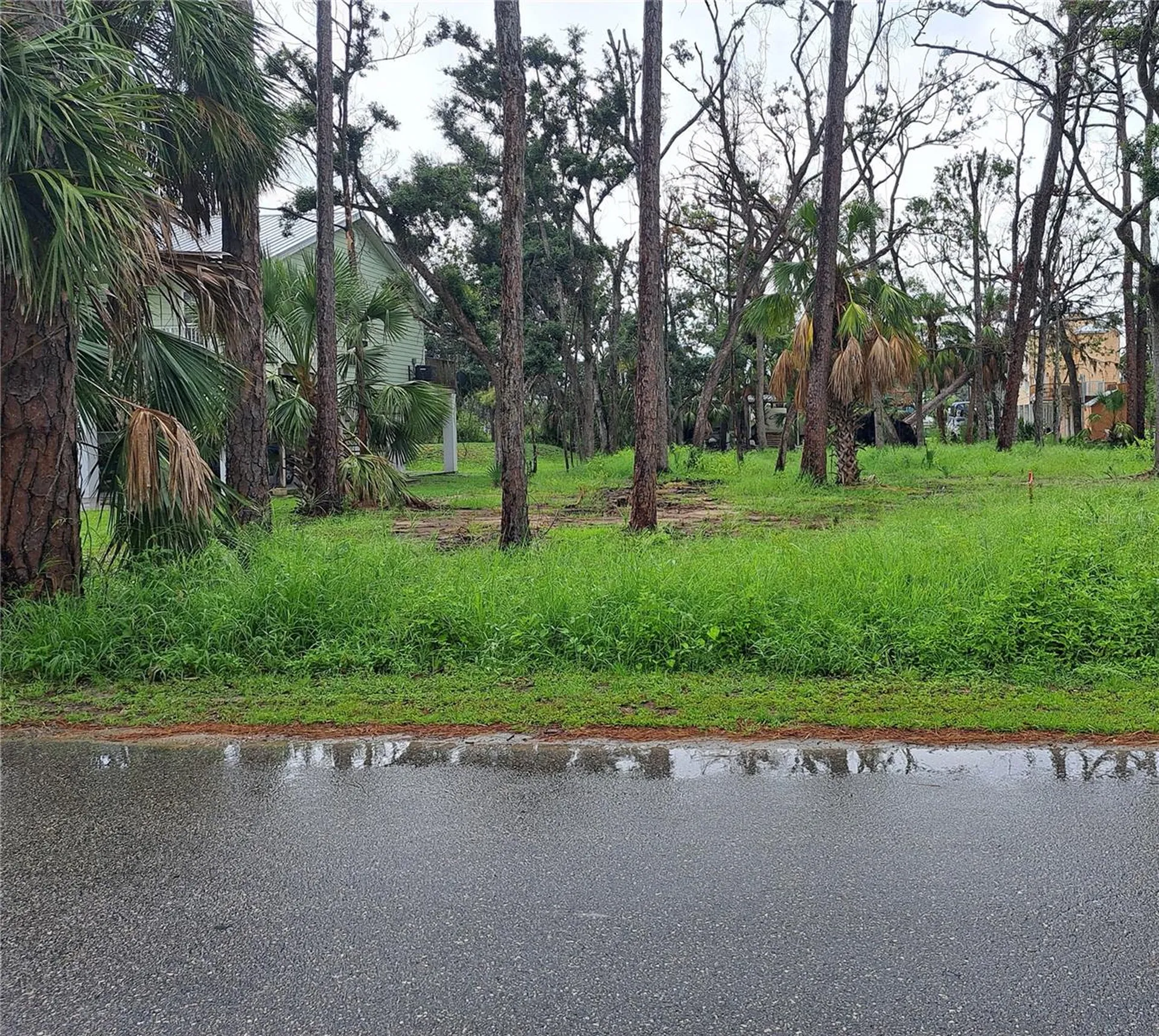 401 W 1st Street NW Steinhatchee FL 32359
