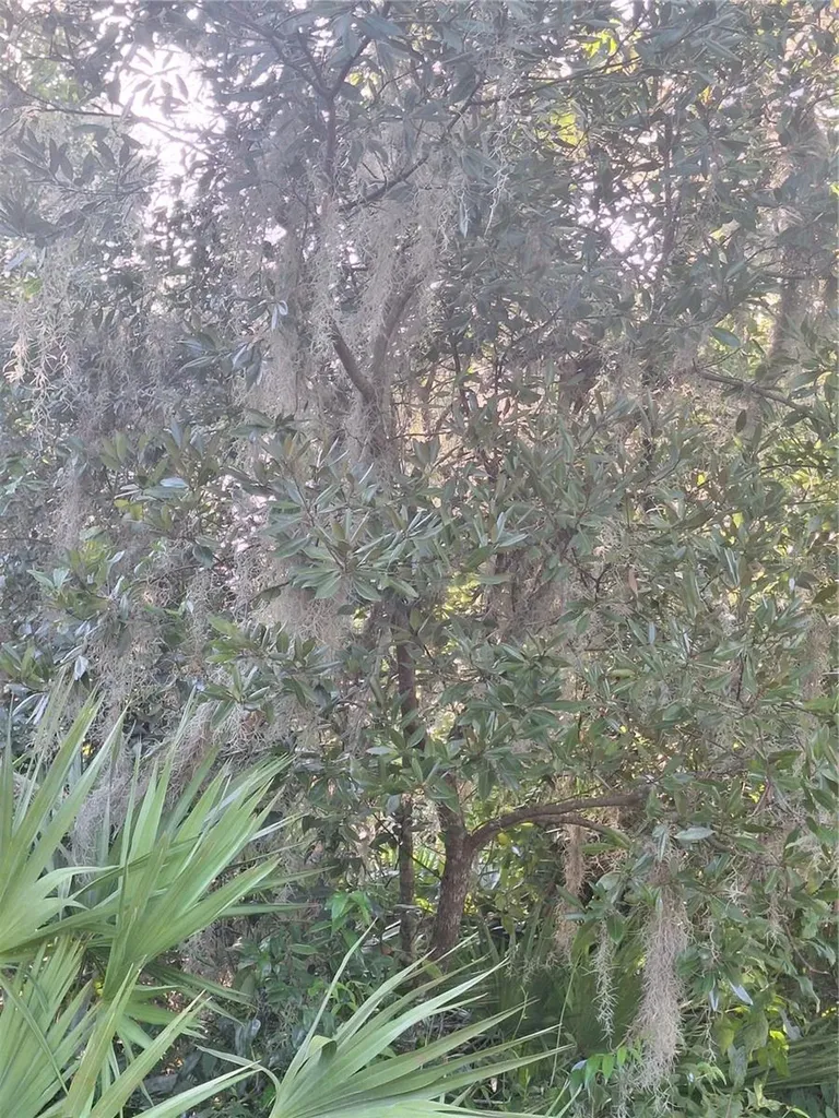 2743 Kingsdale Drive Deltona FL 32738