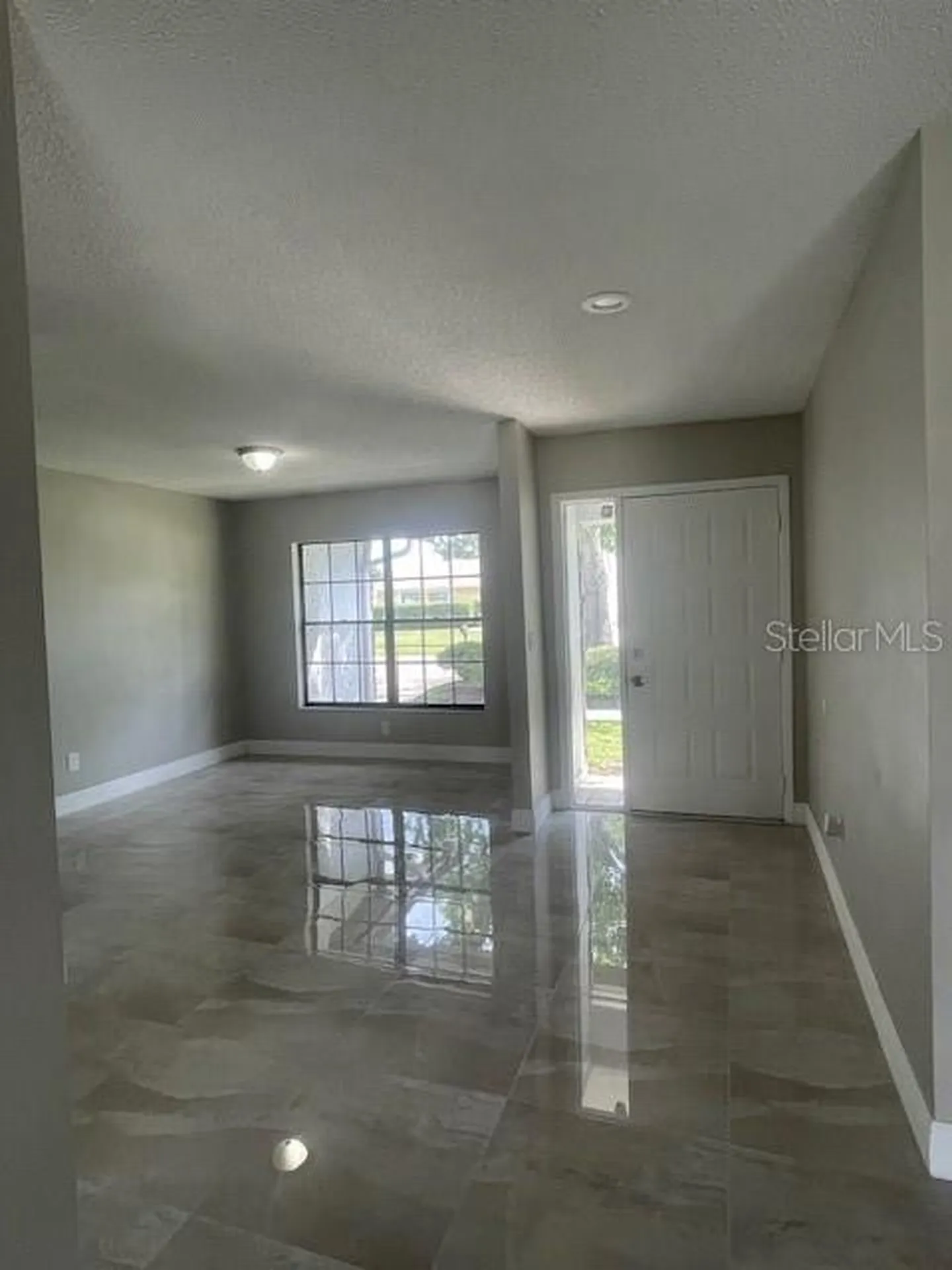 4421 Ranchwood Lane Tampa FL 33624