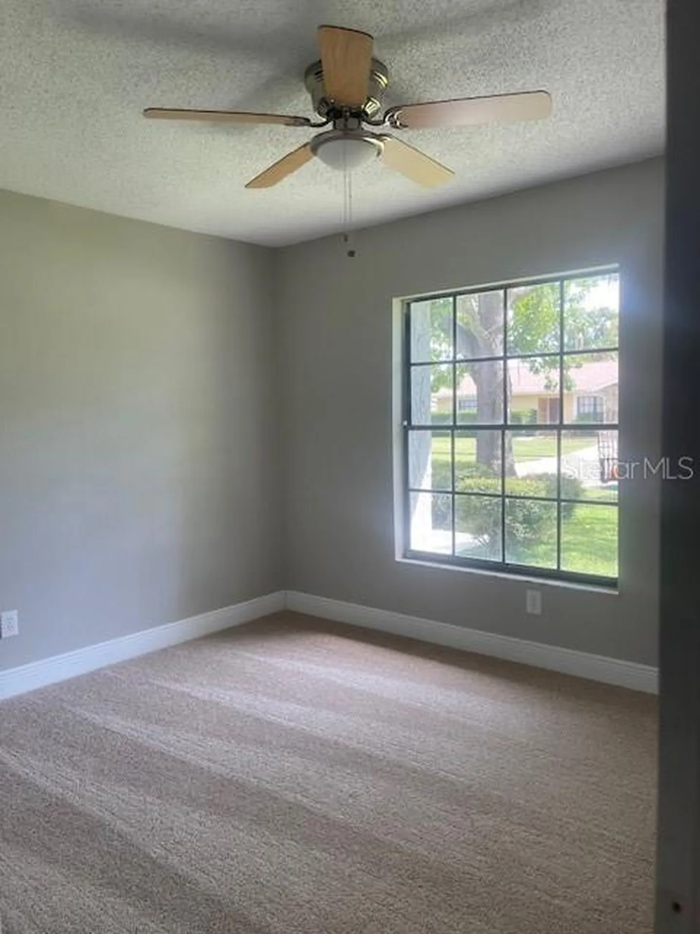 4421 Ranchwood Lane Tampa FL 33624