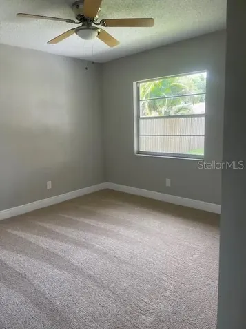 4421 Ranchwood Lane Tampa FL 33624