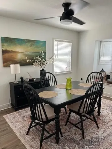1127 E 11th Avenue Mount Dora FL 32757
